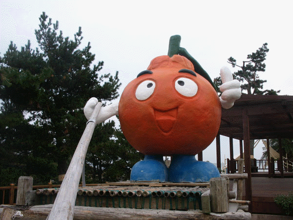 효돈동 쇠소깍